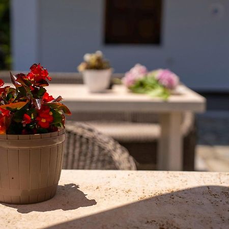 Paradeisos Rooms Pelion Áyios Dhimítrios Esterno foto