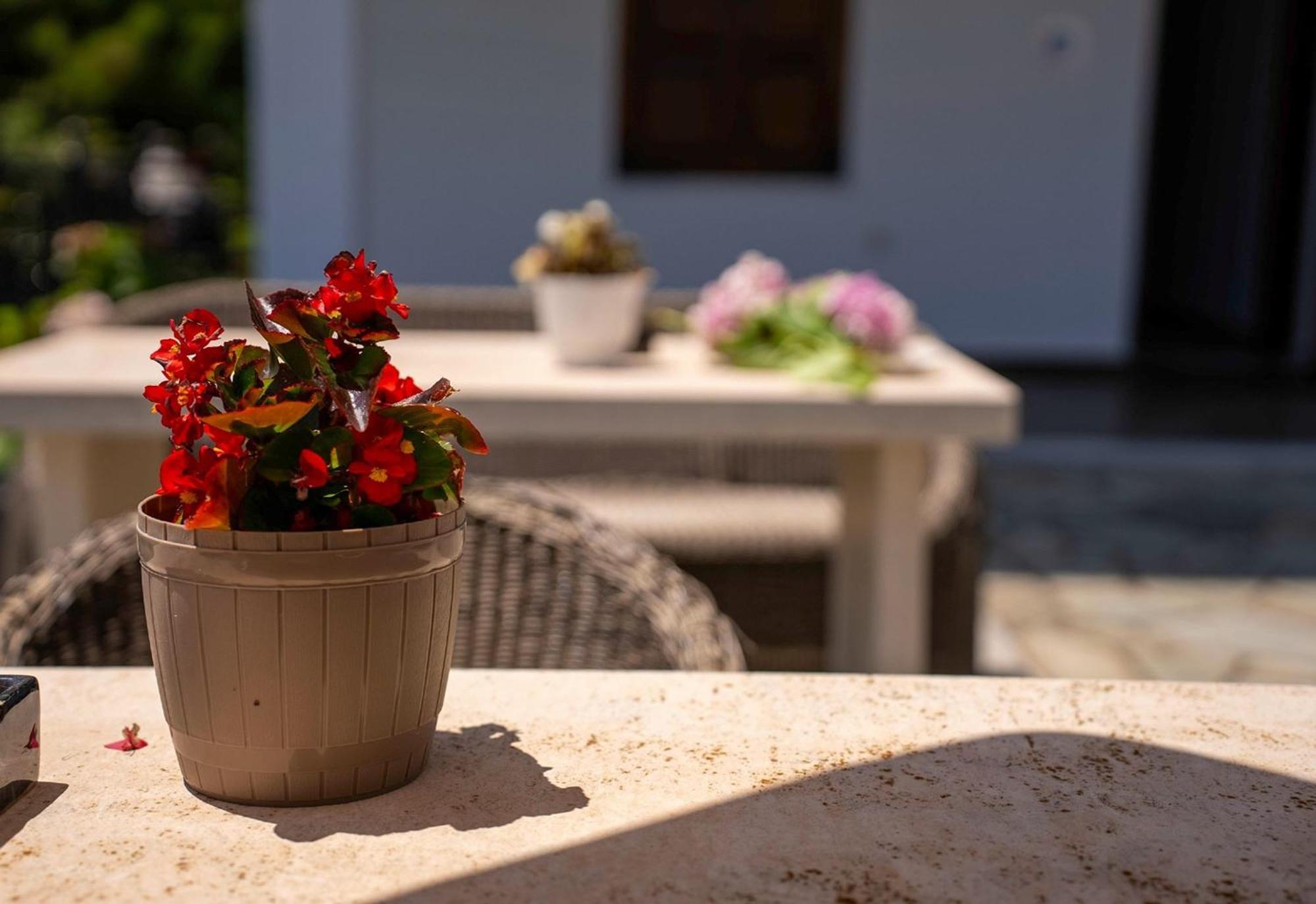 Paradeisos Rooms Pelion Áyios Dhimítrios Esterno foto